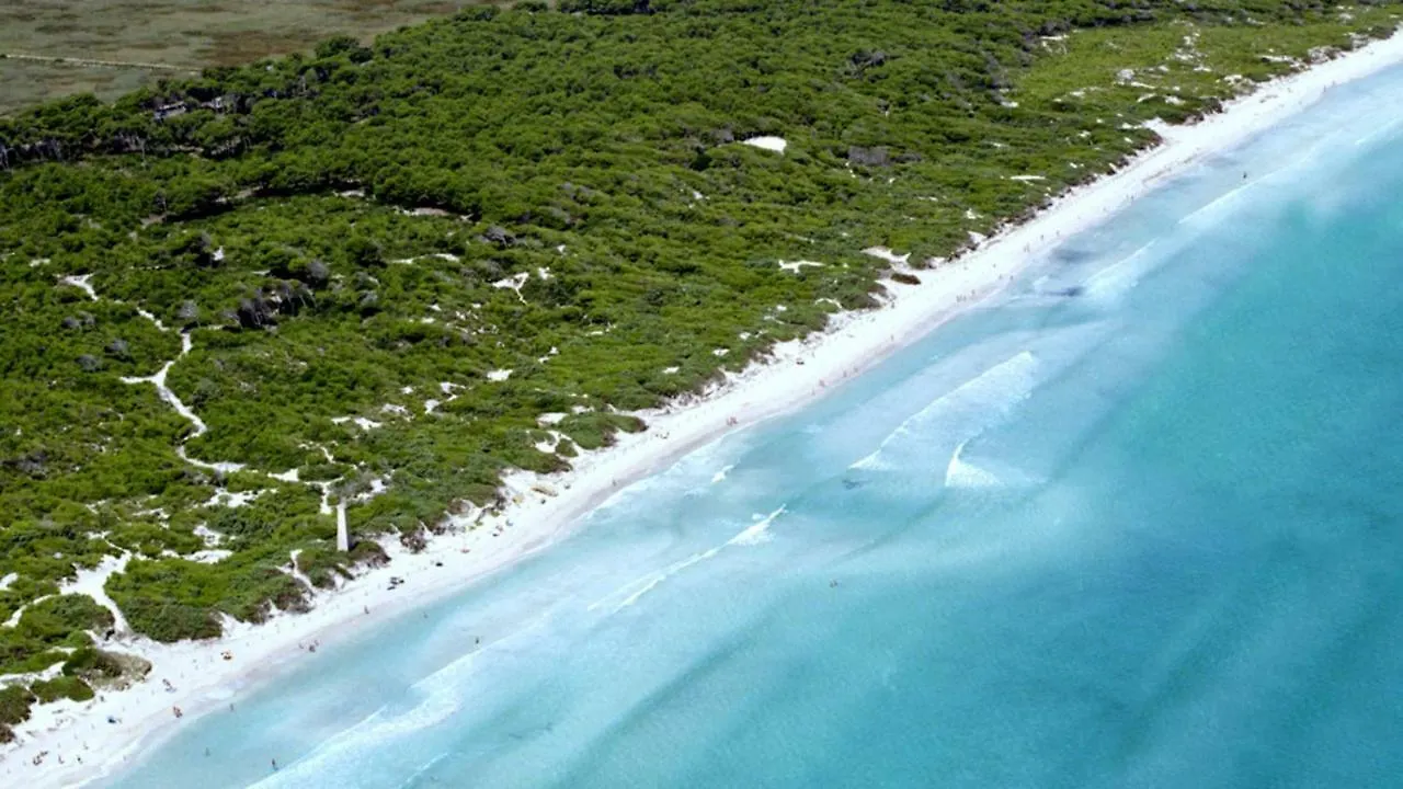 Finca Son Macia, Amplia Piscina, Jardines En Selva, Cerca De Playas Selva