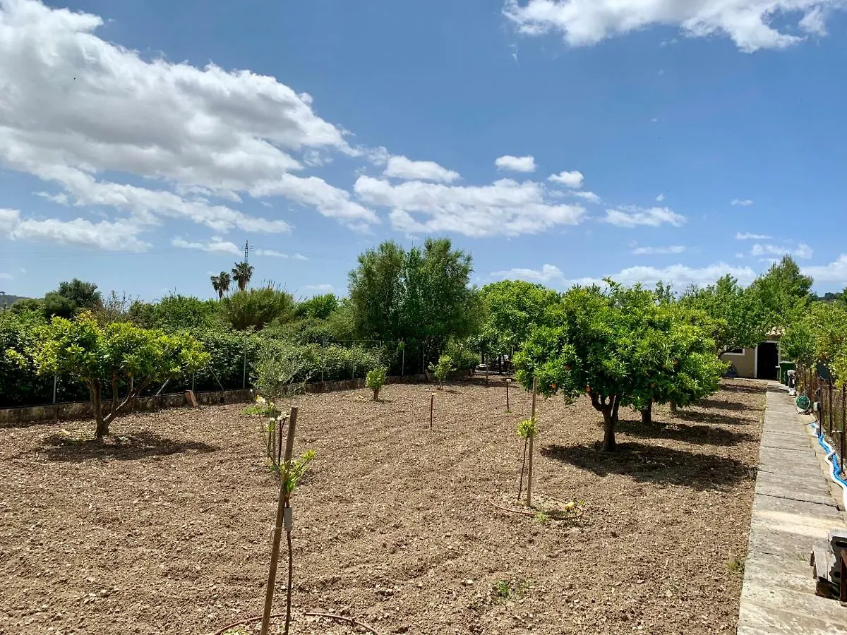 Finca Son Macia, amplia piscina, jardines en Selva, cerca de playas Selva  0*, Selva (Mallorca) España